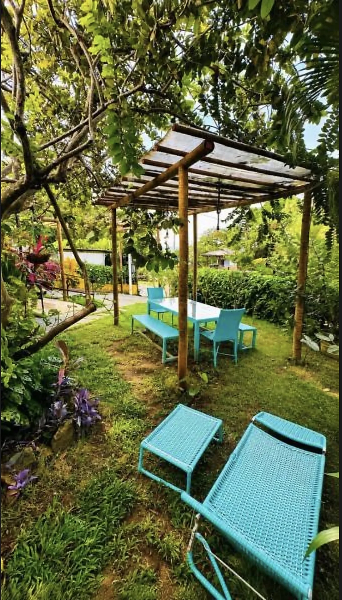 Jardim com cadeiras e pergolado